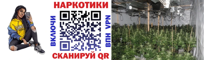 Что такое Снежногорск hydra   ГАШИШ  Конопля  АМФЕТАМИН 