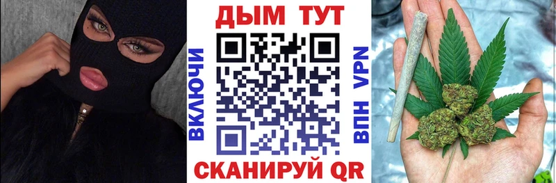 Конопля SATIVA & INDICA  купить закладку  Снежногорск 
